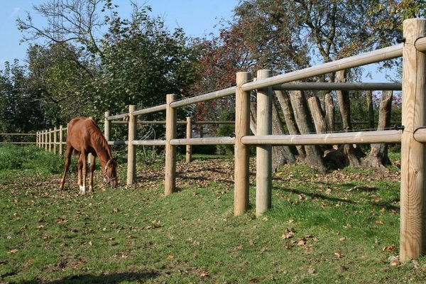 Hevosaitaus 40 metri&auml;, painekyll&auml;stetty