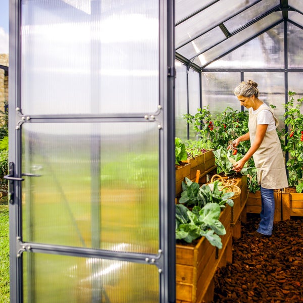 Kasvihuone Glory 9,2 m2, harmaa runko, Palram - Canopia