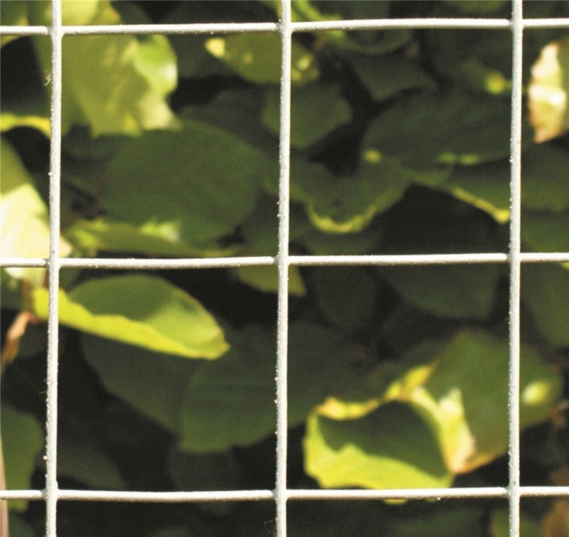 Puutarha-aita, galvanoitu, 10 x 10 cm, 90 cm x 25 m