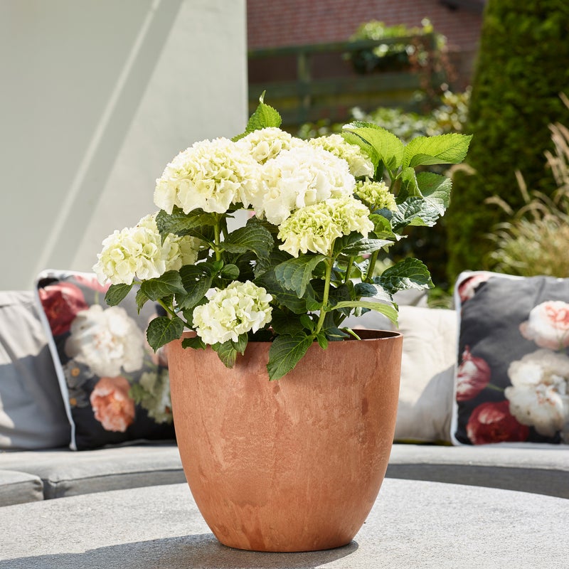 Bola art stone ruukku - Oak &Oslash;28 x K24