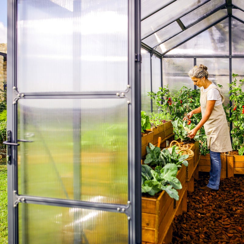 Kasvihuone Glory 9,2 m2, harmaa runko, Palram - Canopia