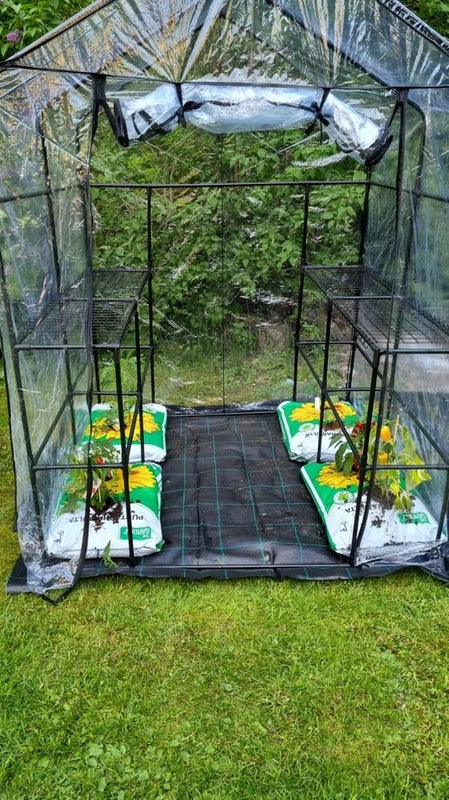 Kasvihuone XL, muovia, mitat 143 x 143 x 195 cm