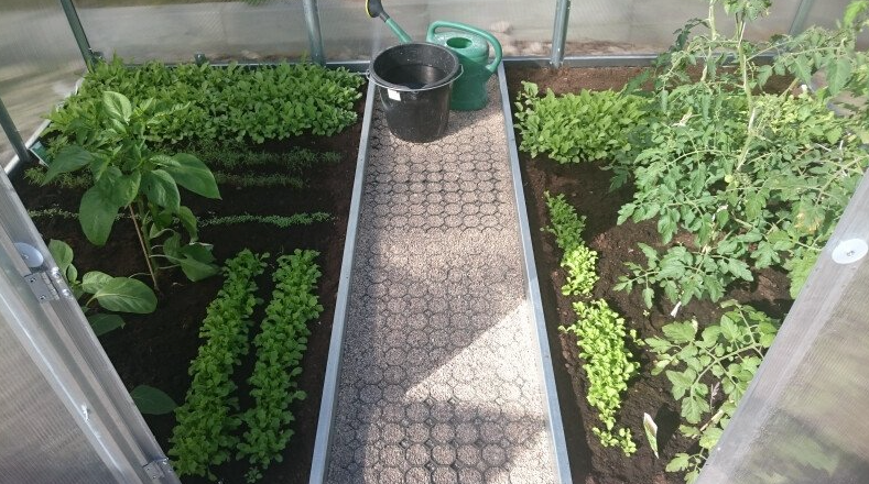 Kasvihuone KLASIKA 6 (3x2m), 4 mm polykarbonaattilevyill&auml;